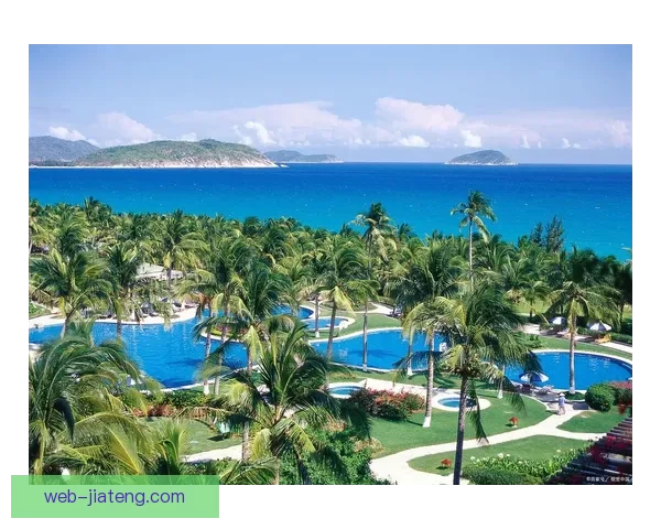 天涯海角景区直通车官网：一站式畅游，您的旅行管家